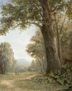 study of an ash tree_11inX14in