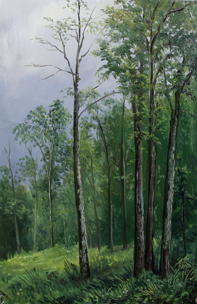 Forest in the Catskills_ 6.5 x 9.5