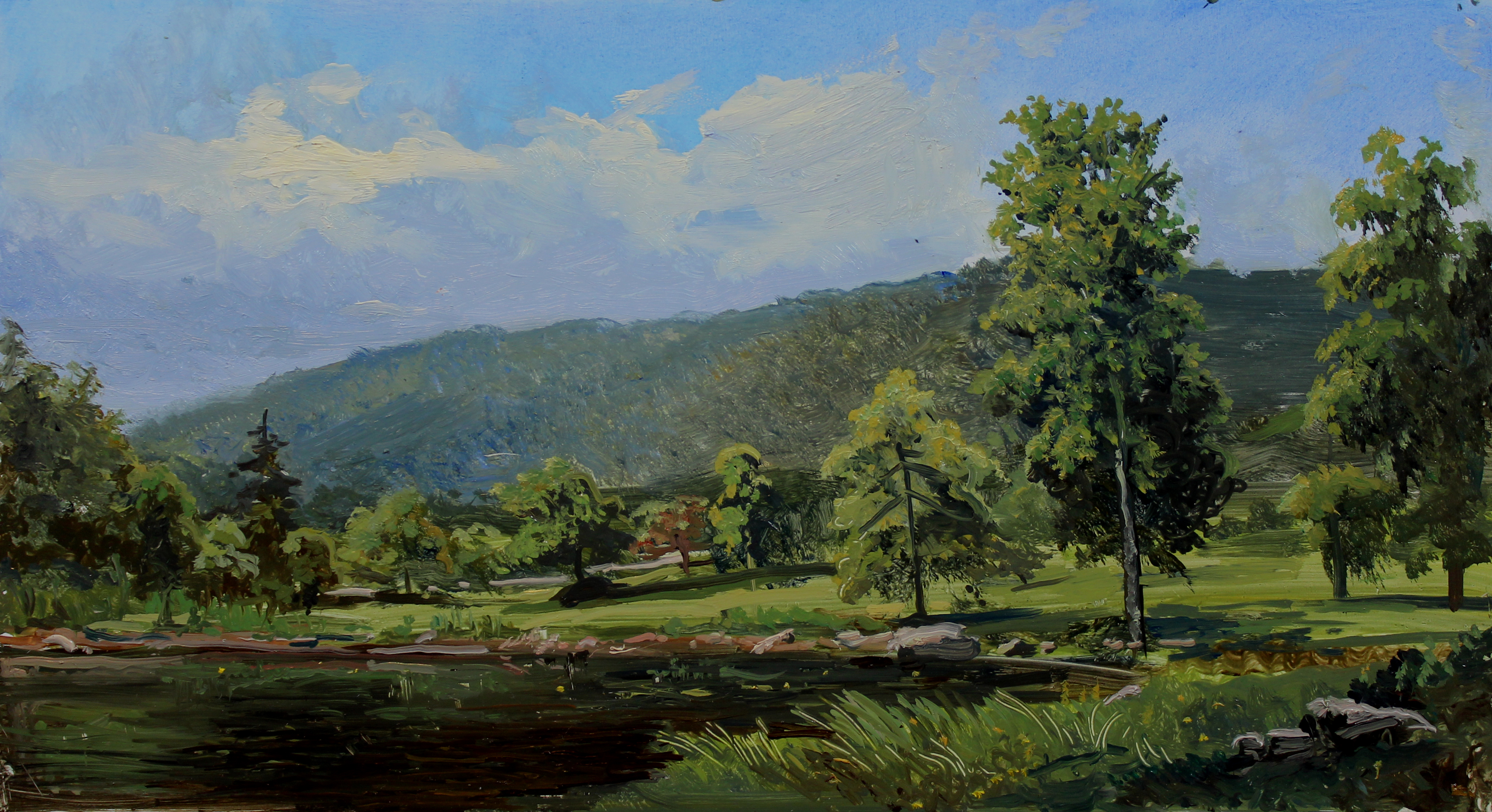 Mountain Top Arboretum Morning